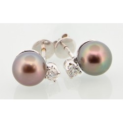 Pearl Earrings